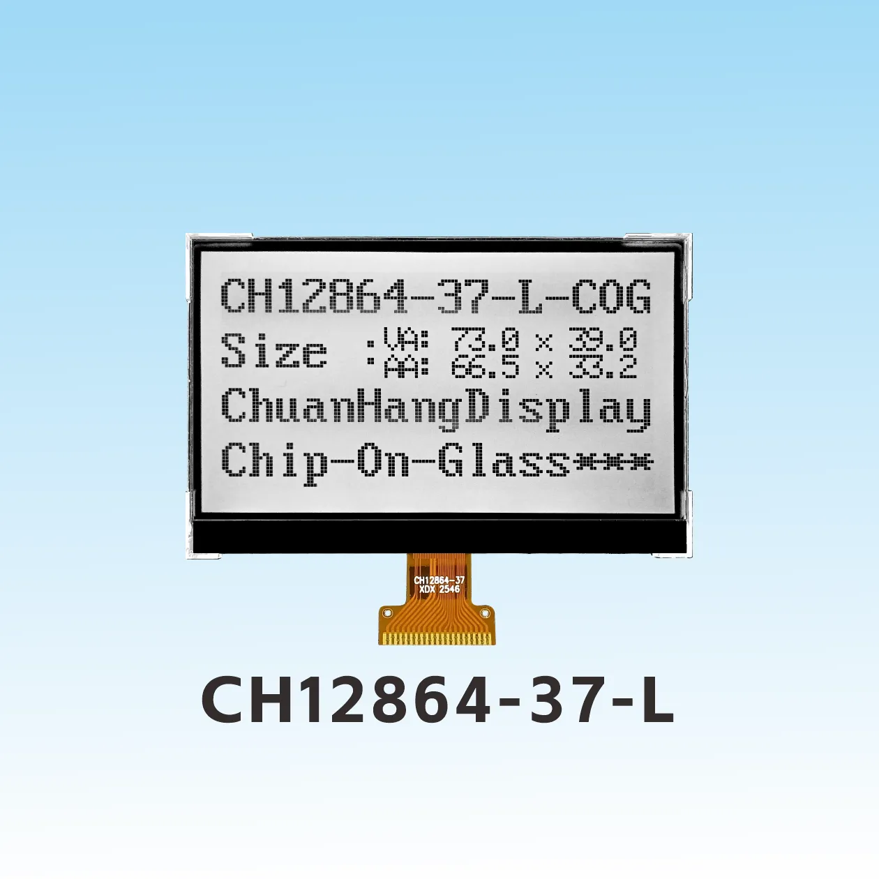 CH12864-37- L